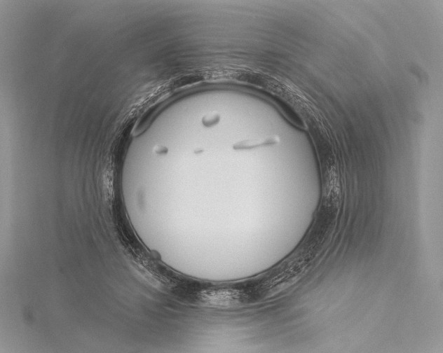 X0000115830452200912041651