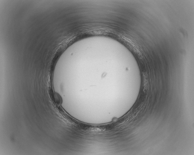 X0000115830453200912041651