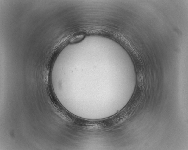 X0000115830454200912041651