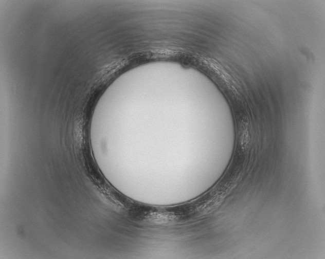 X0000115830455200912041651