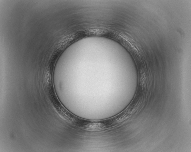 X0000115830459200912041651