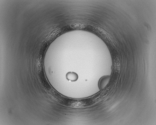 X0000115830460200912041651