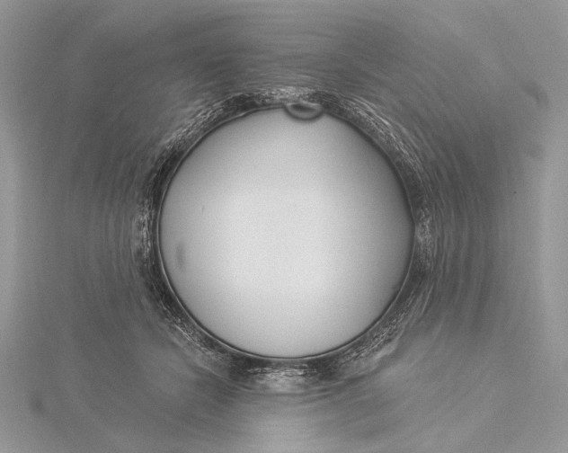 X0000115830462200912041651