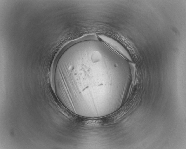 X0000115830465200912041651