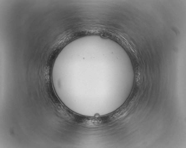 X0000115830466200912041651