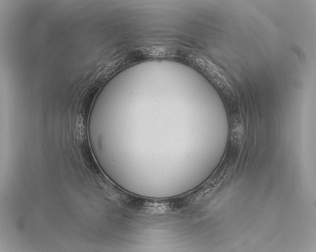 X0000115830469200912041651