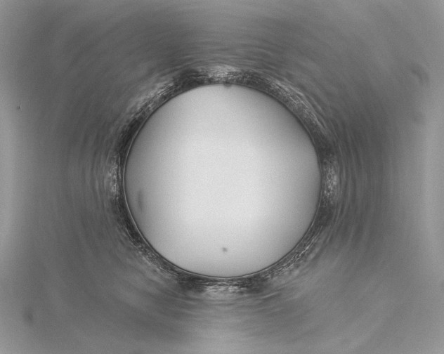 X0000115830470200912041651