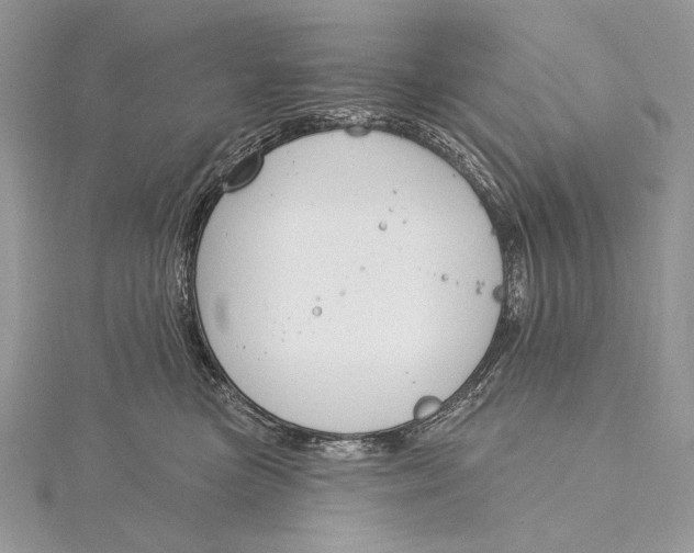 X0000115830473200912041651