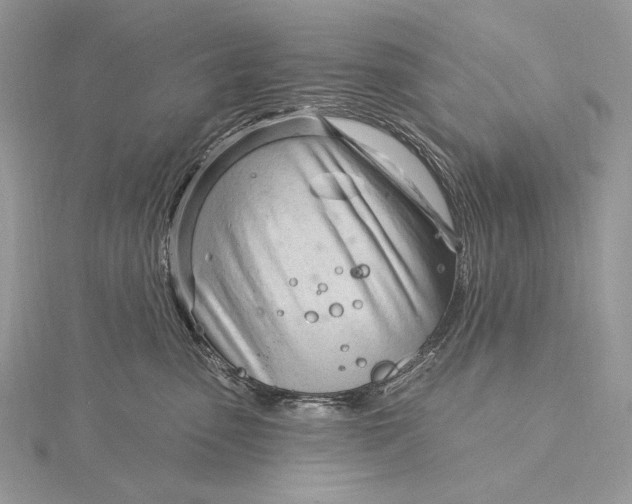 X0000115830475200912041651