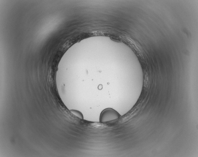 X0000115830477200912041651