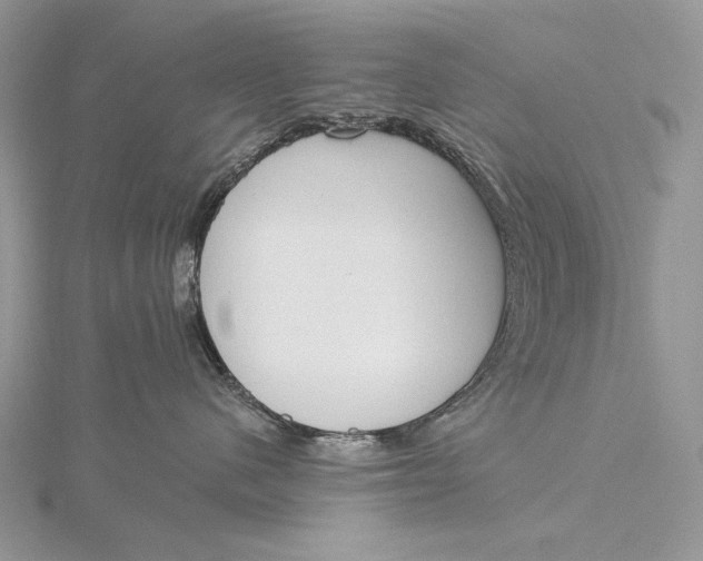 X0000115830480200912041651