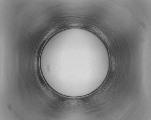 X0000115830482200912041651