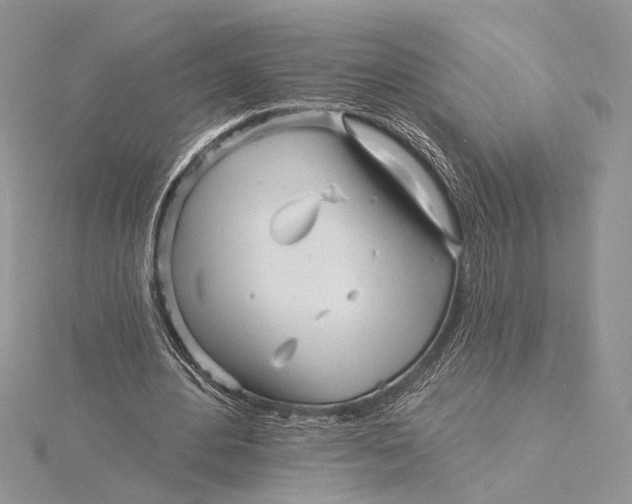 X0000115830484200912041651