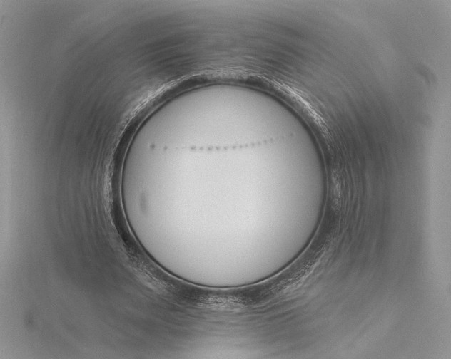 X0000115830487200912041651