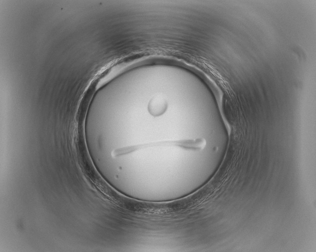 X0000115830488200912041651