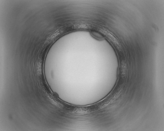 X0000115830489200912041651