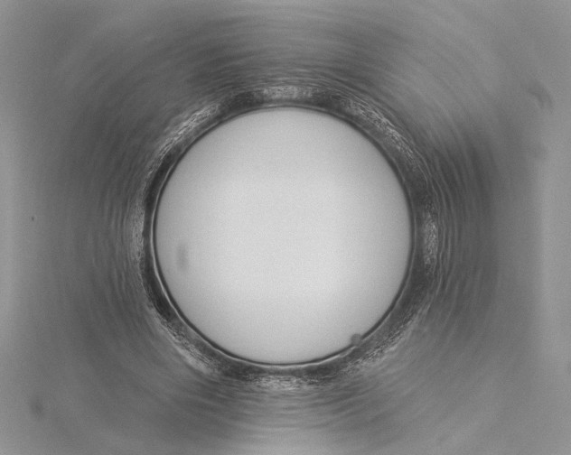 X0000115830490200912041651