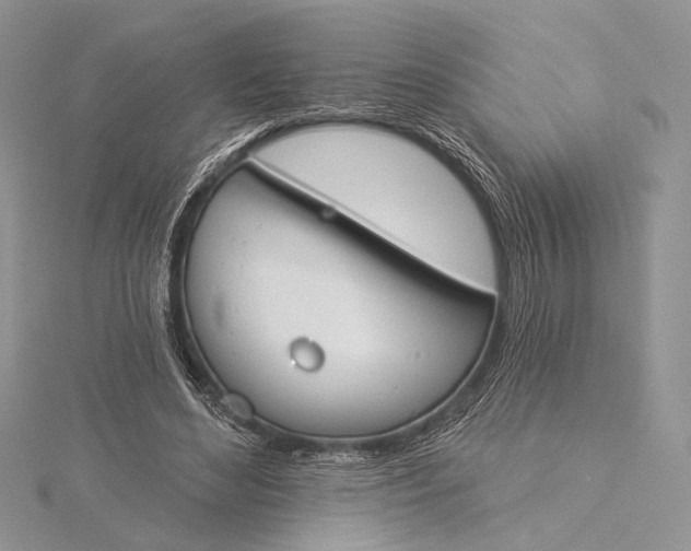 X0000115830492200912041651