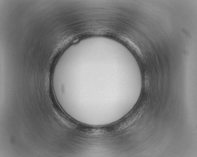 X0000115830493200912041651