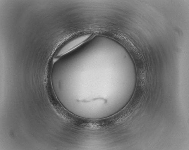 X0000115830496200912041651