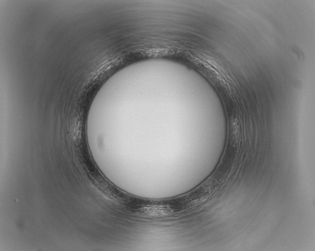 X0000115830499200912041651