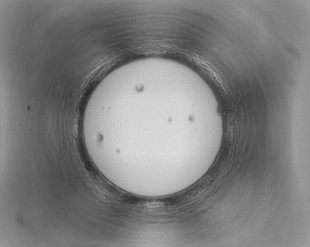 X0000115830501200912041651