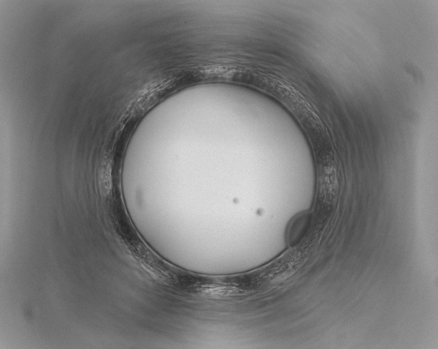 X0000115830504200912041651