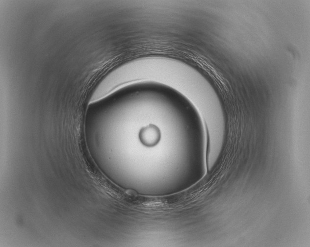 X0000115830505200912041651