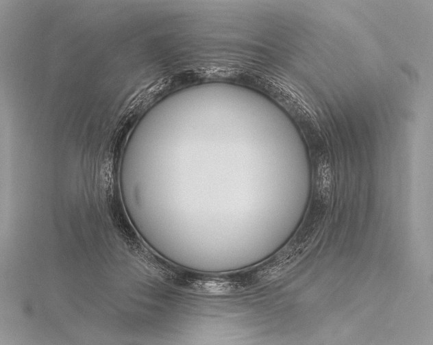 X0000115830506200912041651