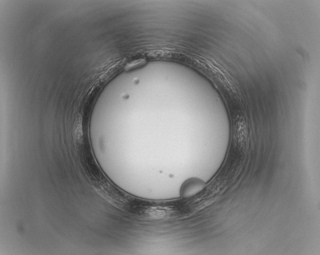 X0000115830508200912041651