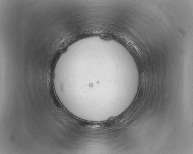 X0000115830509200912041651