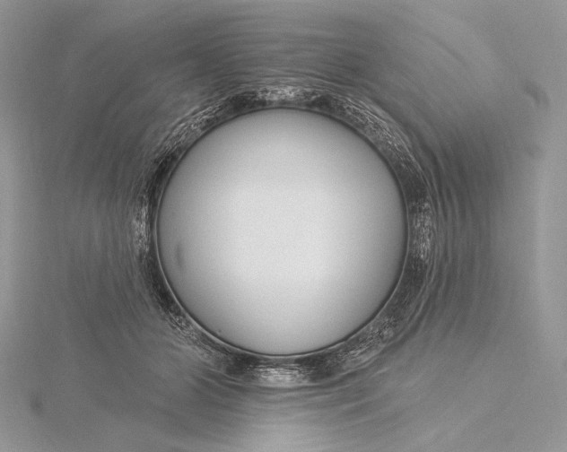 X0000115830510200912041650