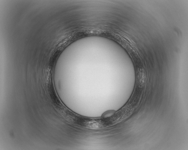 X0000115830511200912041650