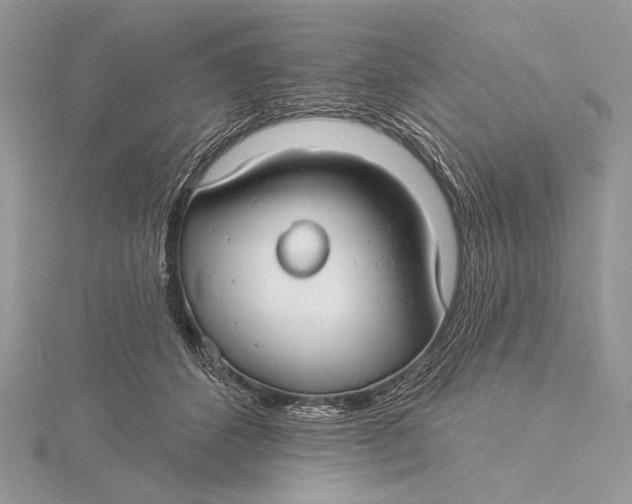 X0000115830512200912041650