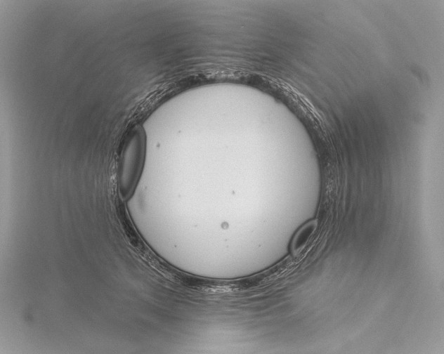 X0000115830513200912041650