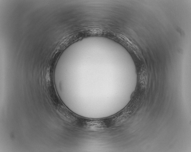 X0000115830516200912041650