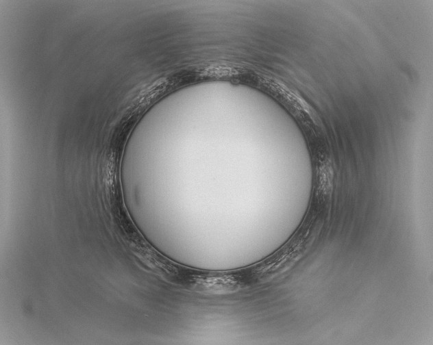 X0000115830517200912041650