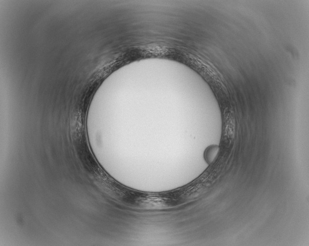 X0000115830518200912041650