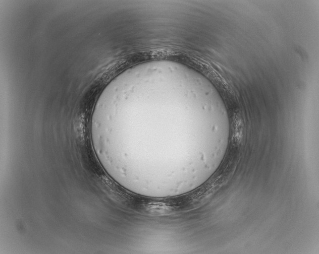 X0000115830519200912041650