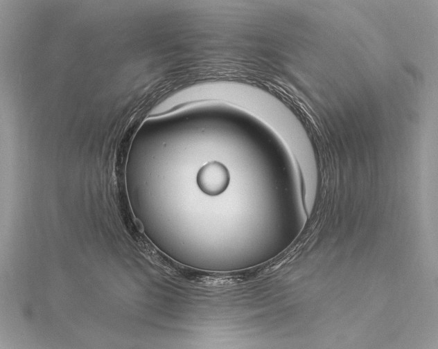 X0000115830520200912041650