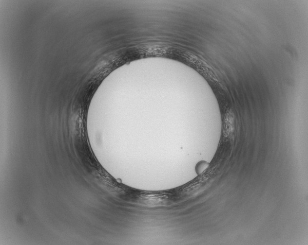 X0000115830522200912041650