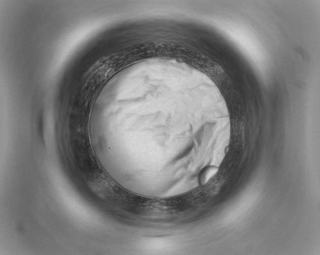 X0000115830526200912041650