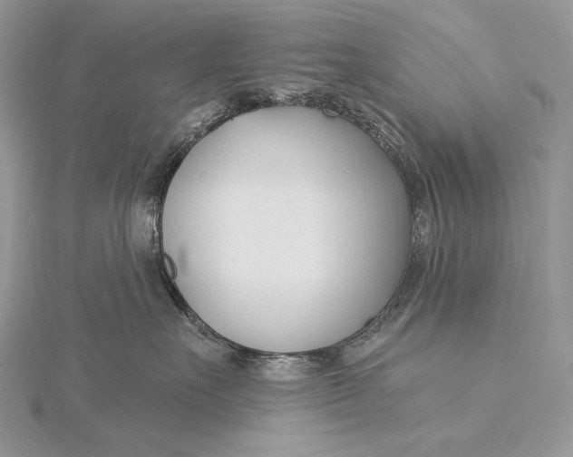 X0000115830527200912041650