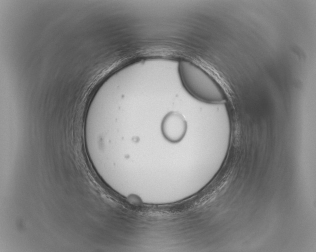 X0000115830529200912041650