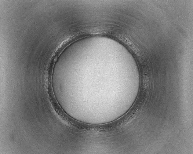 X0000115830530200912041650