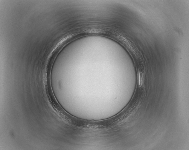 X0000115830531200912041650