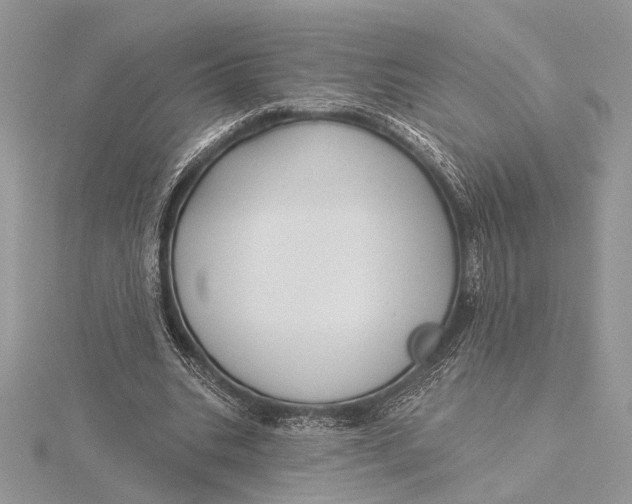 X0000115830535200912041650