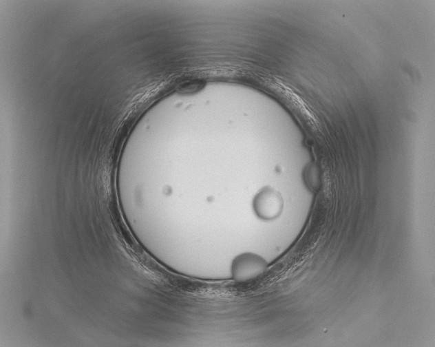 X0000115830537200912041650