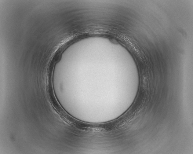 X0000115830539200912041650