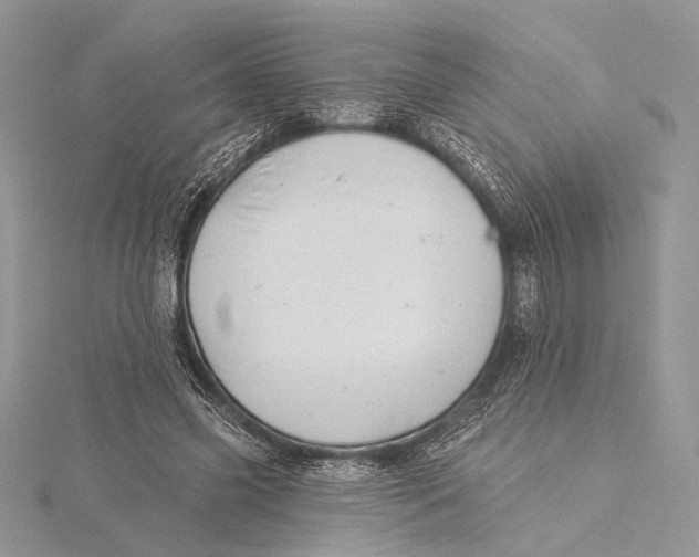 X0000115830541200912041650